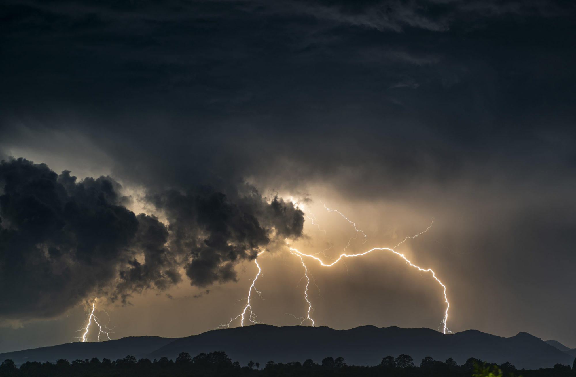 Weathering the Storm