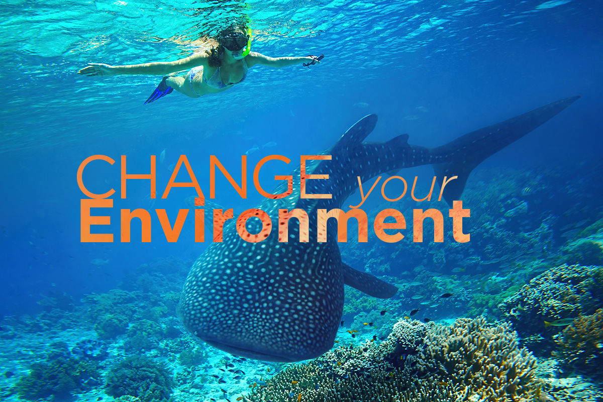 Change Your Environment