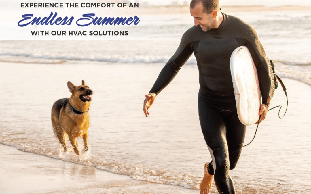 South Bay, Los Angeles – September 2023