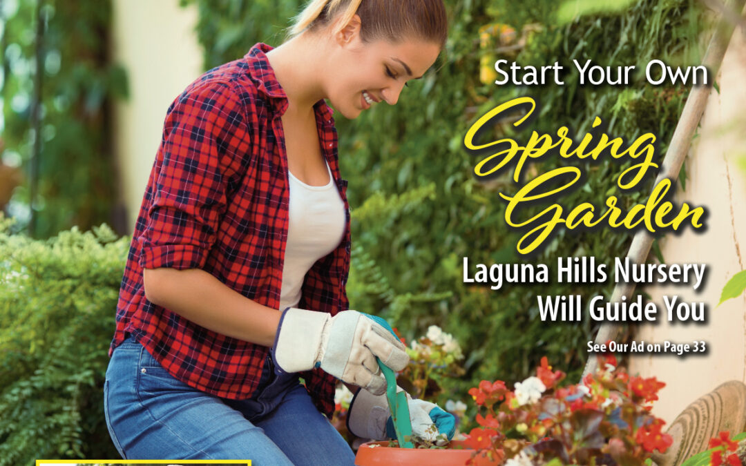North Orange County – April 2024